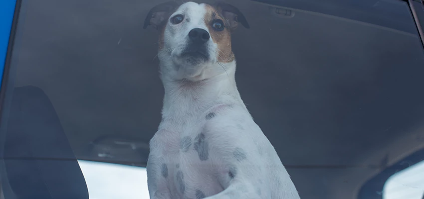 Car Lockout Solutions in Spring Valley Lake, California