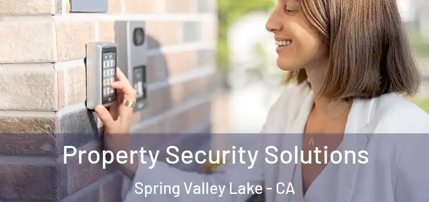  Property Security Solutions Spring Valley Lake - CA